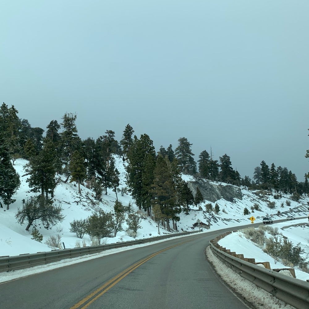 Meet the Posher-Kathy